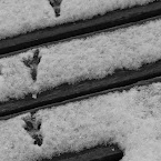 Traces 23012012-0002.jpg