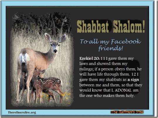 Poster_sabbath_shalom