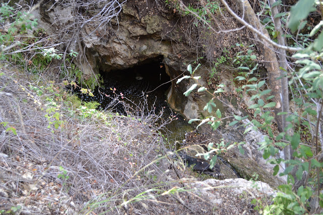 caves edge the water