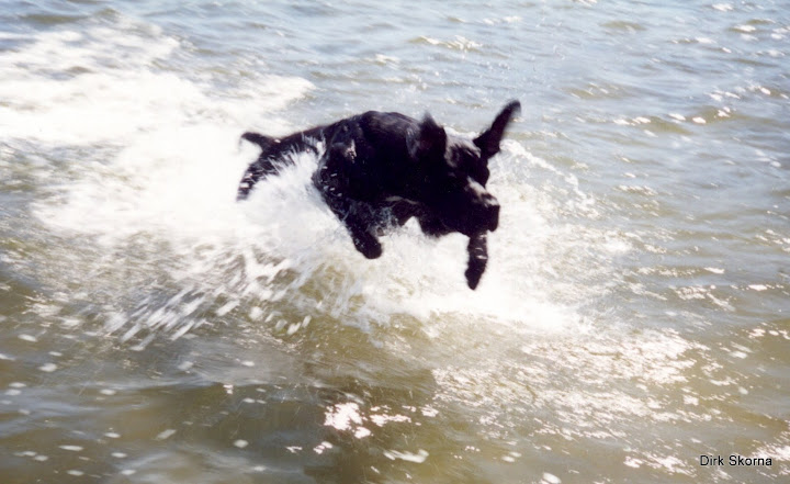 2001 Aron in der Ostsee