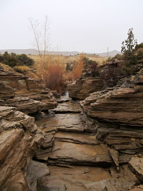 Watercourse cutting through the Carmel Formation