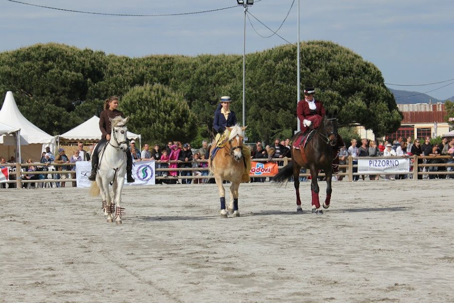 salon du cheval de frejus 2012 Frejus5