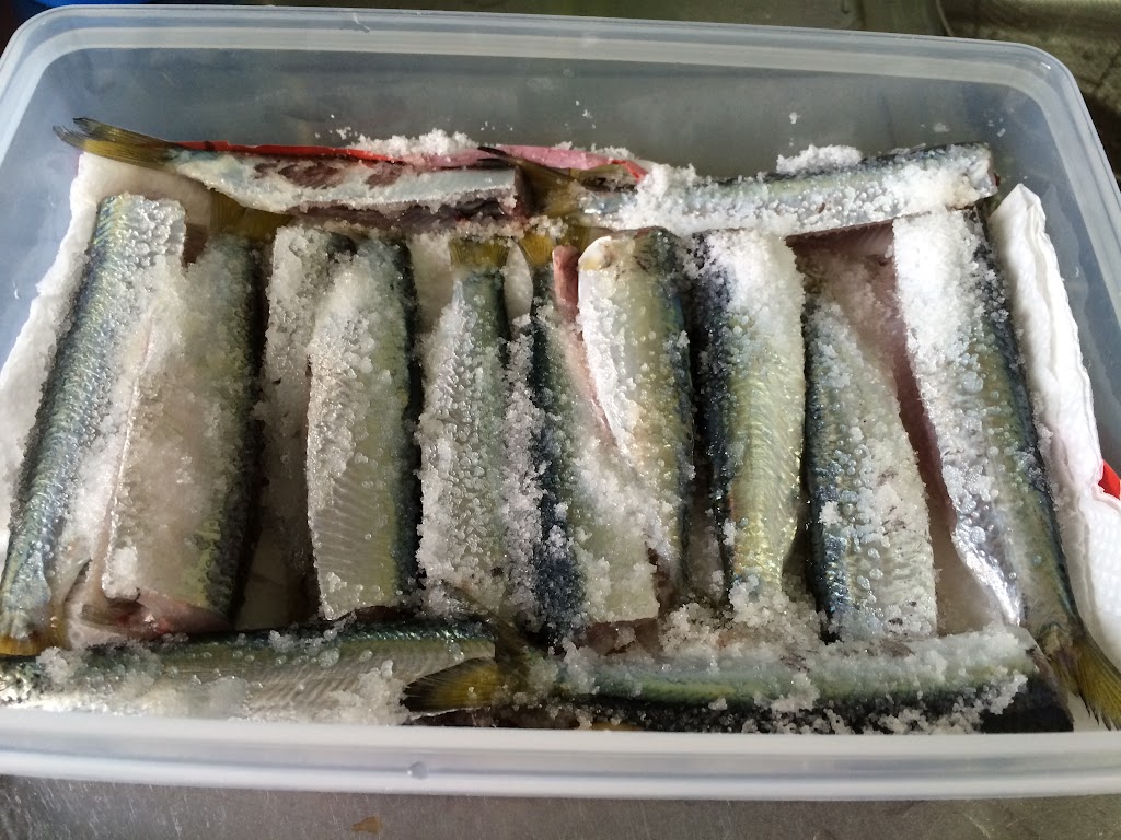 サッパは酢漬けにして食べよう 簡単ままかりレシピ Fam Fishing