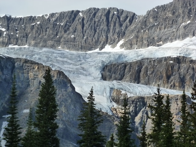 Icefields Parkway. Llegada a Jasper. 5 de Julio - LAS ROCOSAS DE CANADA. YELLOWSTONE Y GRAND TETON. (5)