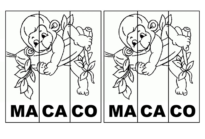 MACACO