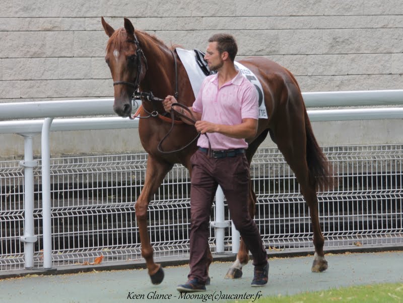 Photos Maisons-Laffitte 5-07-2015 IMG_2244