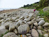 The large pebbles at St Loy's Cove