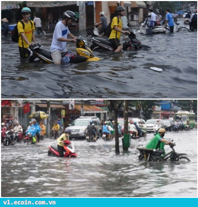 Dự là ngày mai giá xuồng ở SG sẽ tăng, lượng tiêu thụ tăng vượt bật ....SG ơi :((