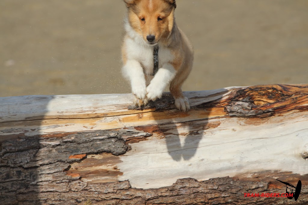 20150815_rouet008.JPG