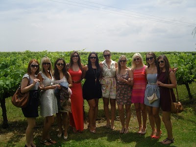 Photos of Out and About Wine Tours