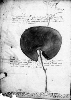aldaraia sive soyga vocor pdf aldaraia sive soyga vocor pdf