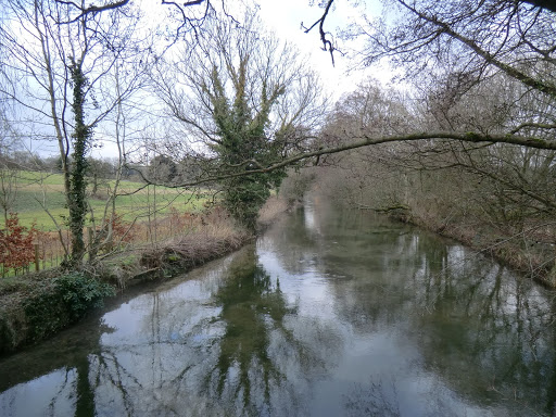 CIMG6701 River Test at Fulling Mill