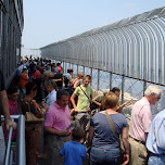 many tourists on the empire state building in New York City, United States 