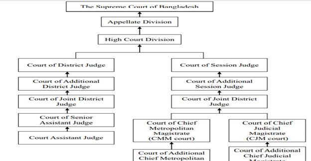 assignment on judicial review in bangladesh