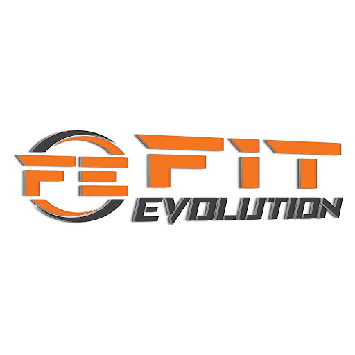 Fit Evolution