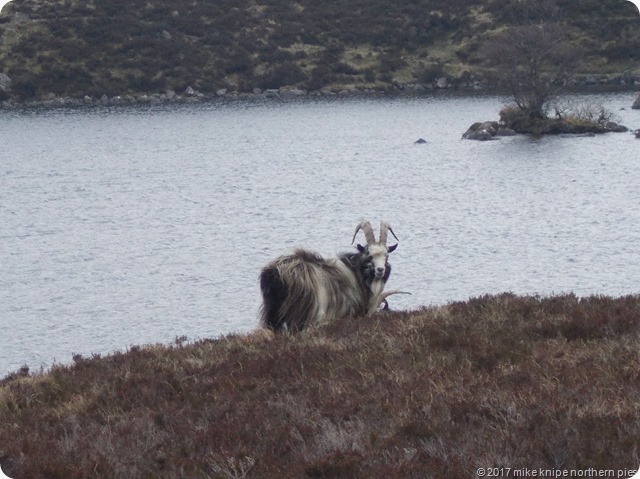 galloway and loch skeen 039