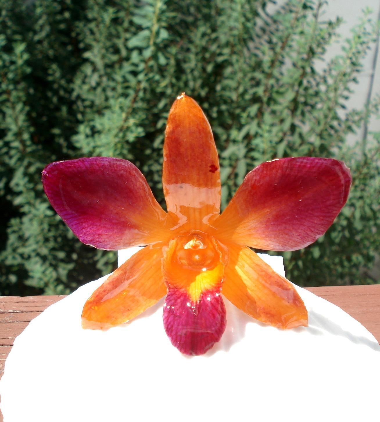 Real Orchid Purple Pink Orange Flower Pendant only. From Takes2toDangle