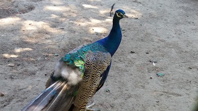 Photos of Zool&oacute;gico de Quilpu&eacute;