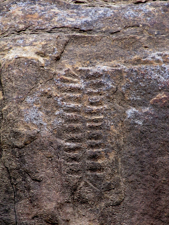 Centipede petroglyph