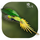 Download DSLR Camera : Blur Photo Effetcs For PC Windows and Mac 1.0