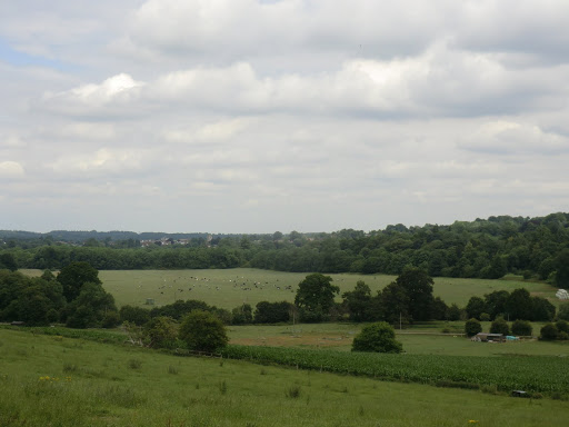 CIMG1142 Looking down the Mole valley towards Leatherhead