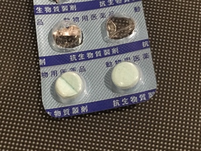 膀胱 炎 薬