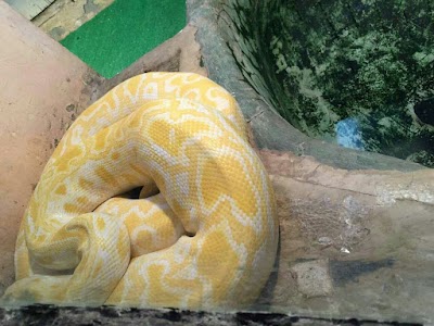 Photos of Hongshan Forest Zoo （East Gate）