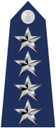 파일:external/upload.wikimedia.org/80px-US_Air_Force_O10_shoulderboard.svg.png