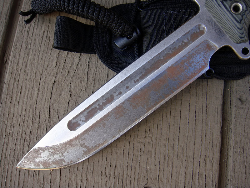 Busse-TGLB-Misc3.JPG