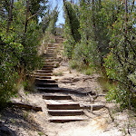 Stairs from Pulpit Rock car park (15649)