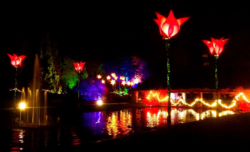 [Wisley%2520Christmas%2520Glow%25201%255B4%255D.jpg]