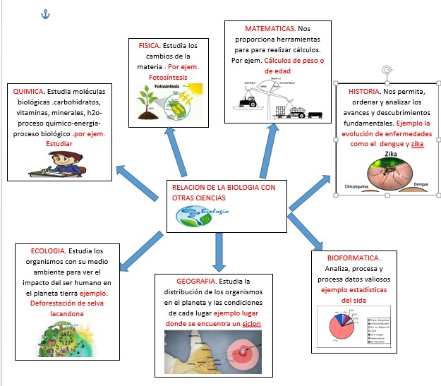 Biologia Relación De La Biología Con Otras Ciencias Mapa Mental