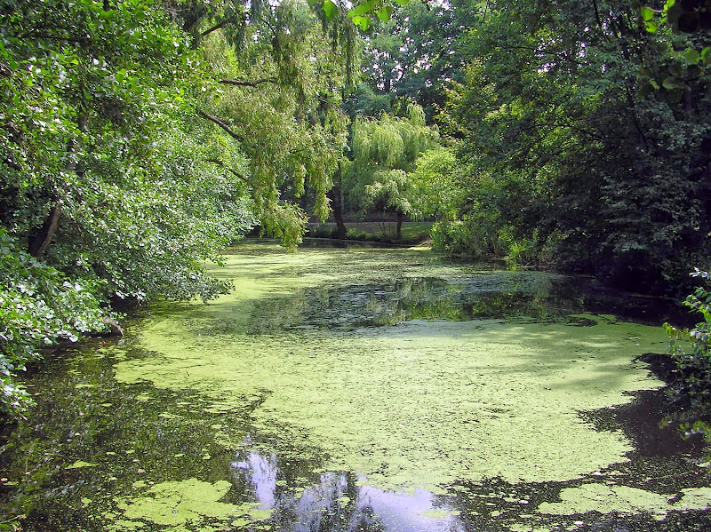 Камни говорят, не плачут. Путешествие по Германии, Швейцарии.