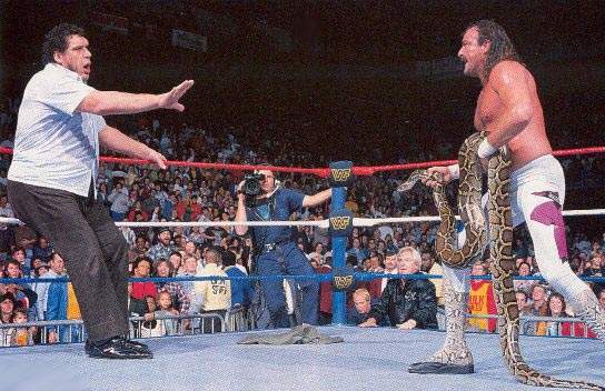 파일:external/www.allwrestlingsuperstars.com/Jake-Roberts-Snake.jpg