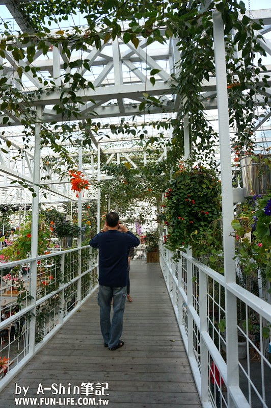 香草菲菲芳香植物博物館