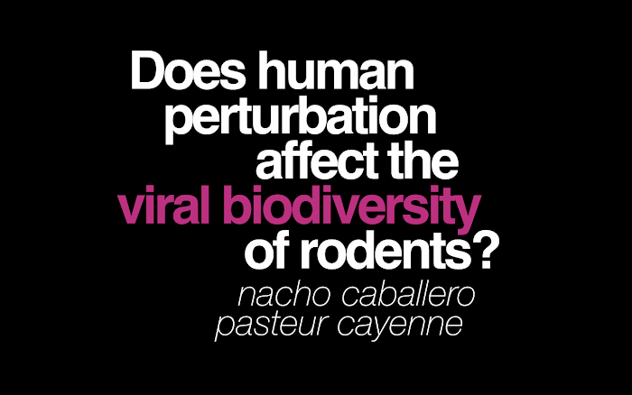 viral biodiversity