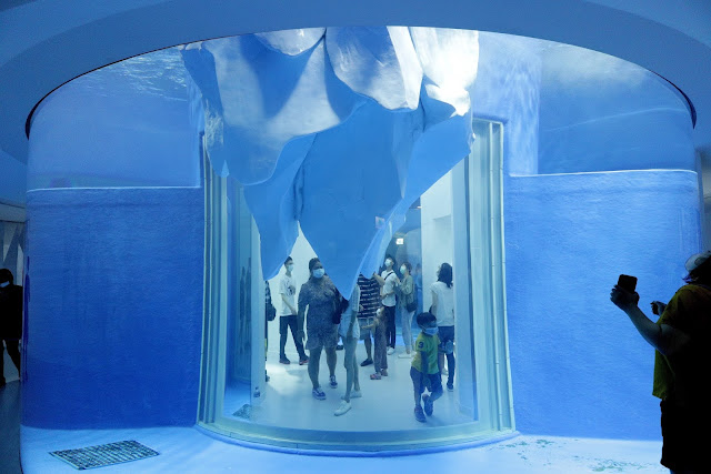 桃園 青埔 親子景點  Xpark 水族館 企鵝 水母 水豚君