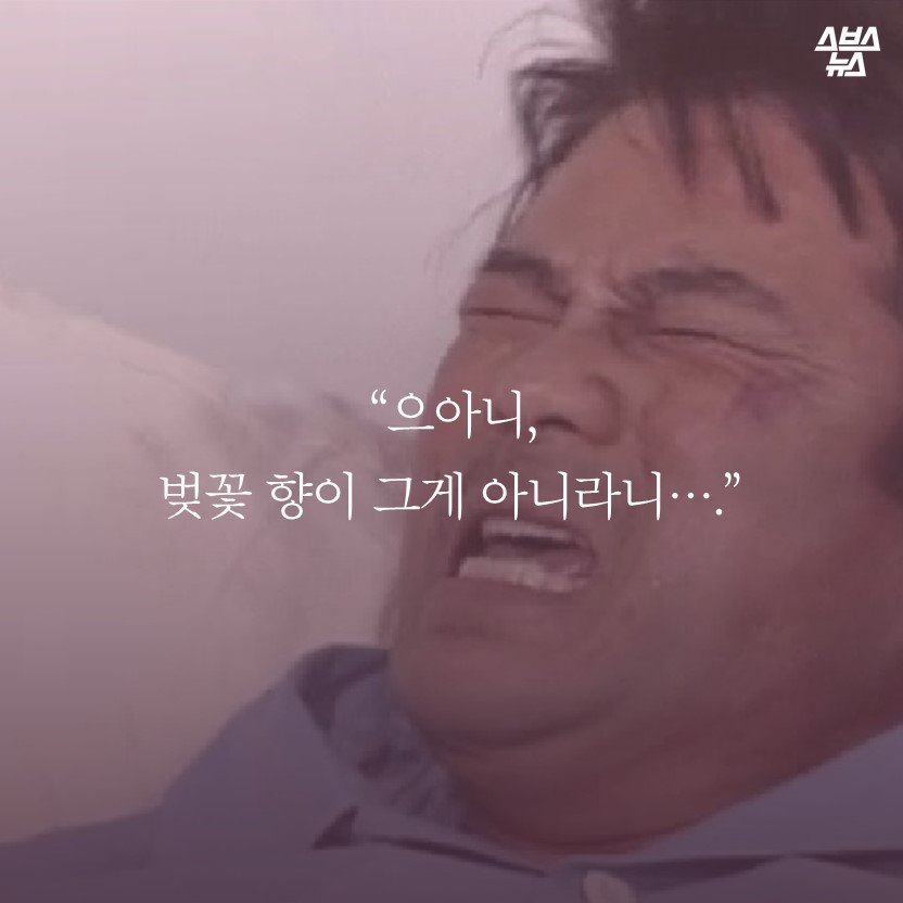 파일:벚꽃향이 진짜가 아니여서 슬퍼하는 심영.jpg