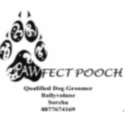 Pawfect Pooch Dog Grooming Parlour logo