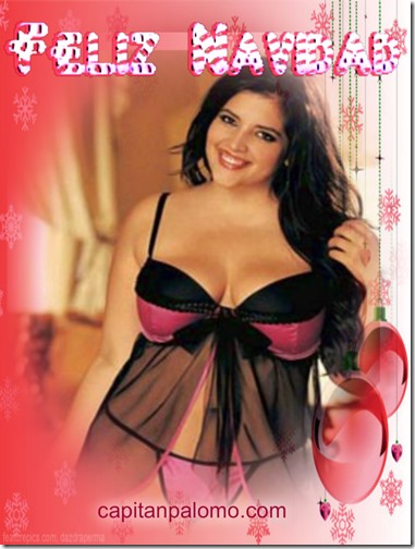 feliz Navidad gordas capitanalomo (83) feliz Navidad gordas capitanalomo (83)
