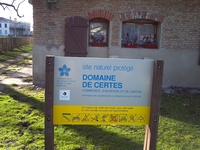 27 janvier - le tour du Domaine de Cerles Le+tour+du+domainde+de+Cerles-00