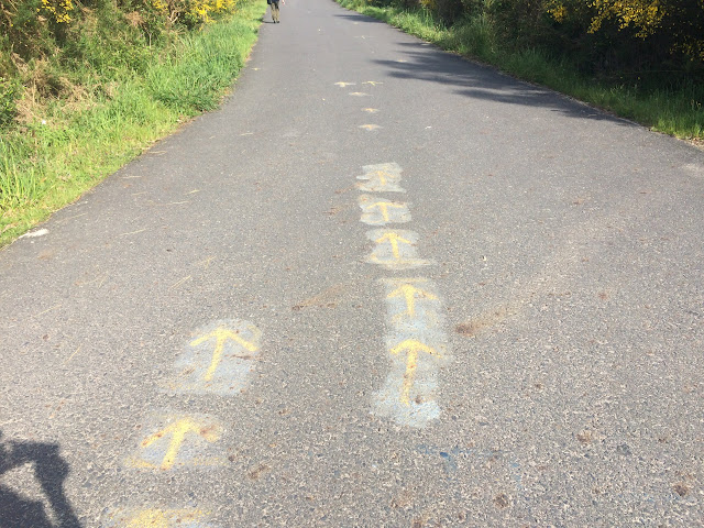 Camino de Santiago Portugues/Португальский пусть Святого Иакова, май 2015 (Порто-Сантьяго)