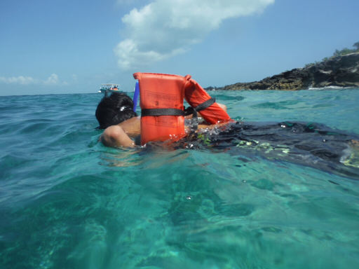 Isla Mujeres Trips, Miguel Hidalgo 89, Centro - Supmza. 001, 77400 Isla Mujeres, Q.R., México, Agencia de excursiones | QROO