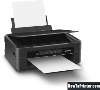 Reset Epson XP-217 printer with Epson reset software