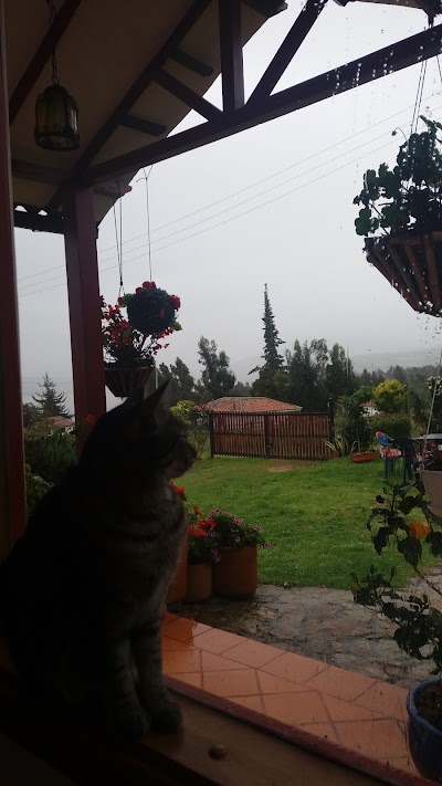 Photos of Posada San Nicolas