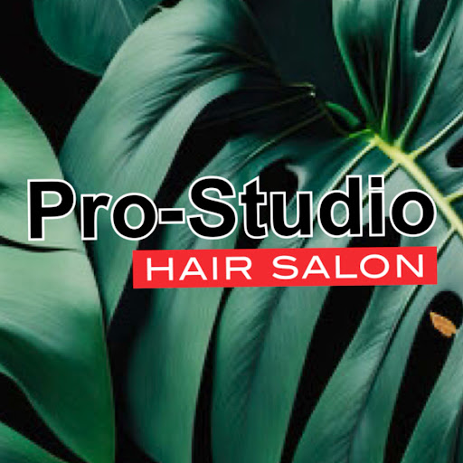 Pro-Studio Hair Salon logo