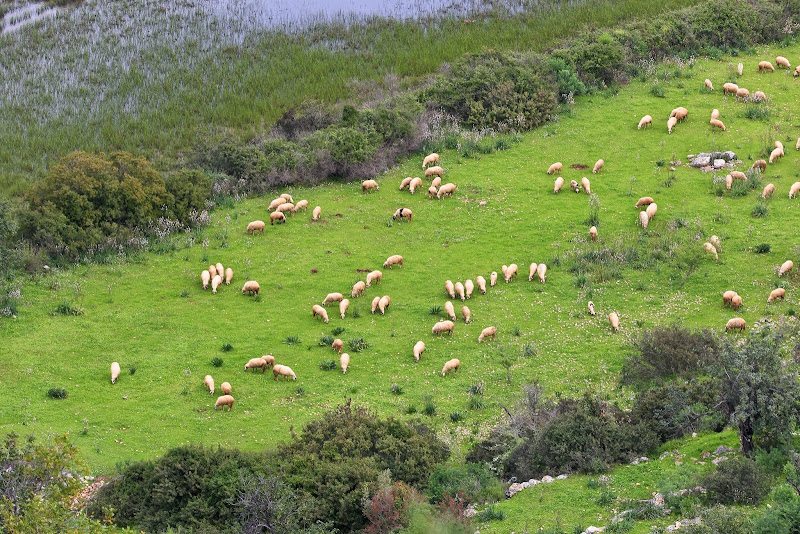 Бирюзовое побережье, Pinara, Simena, Tahtali, Tlos и др.