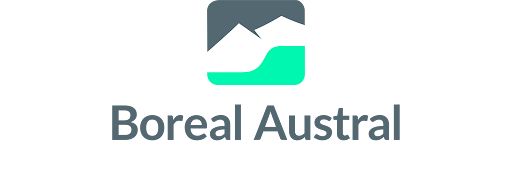 Google Earth Engine App