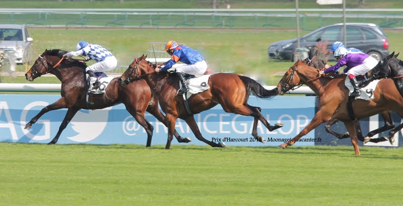Photos Longchamp 6-04-2015 IMG_7908