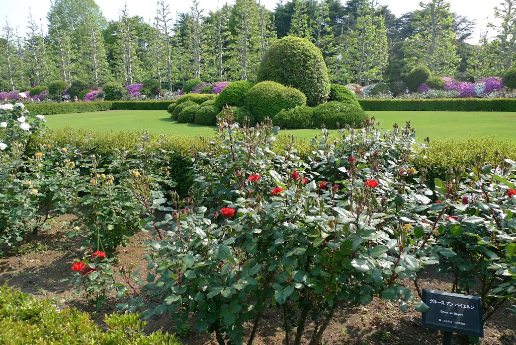 shinjuku gyoen